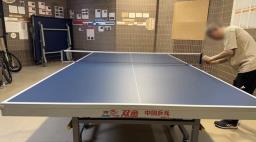 Table Tennis Table  Hk 1080 image 2