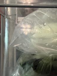 Panasonic Refrigerator  2 Doors 342 Ltr image 5