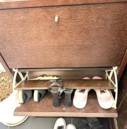 Dark Wood Shoe Rack image 4