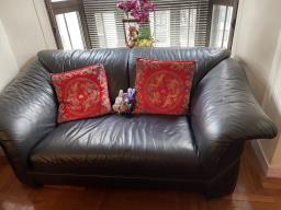 2 Seater Sofa Chair image 1