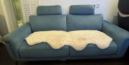 anti-scratch sofa from pet free home image 1