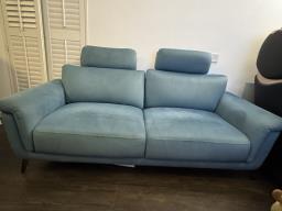 anti-scratch sofa from pet free home image 2