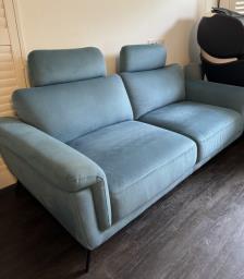anti-scratch sofa from pet free home image 4
