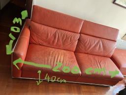 Free genuine sofa and ottoman image 1