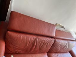 Free genuine sofa and ottoman image 4