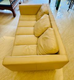 Free Quality Leather Sofa image 2