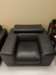 Nicoline Italia Cowhide One Seater Sofa image 6