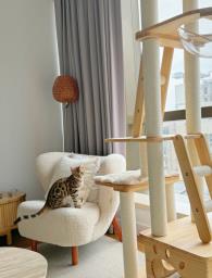 Nordic Minimalist single sofa armchair image 9