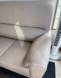 Peteve Darian Sofa image 2
