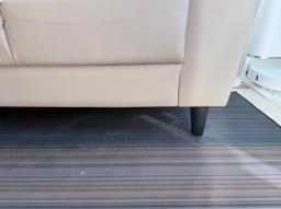 Peteve Darian Sofa image 3