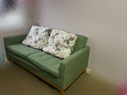 Sofa with Free Cushions image 4