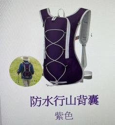 Backpack image 2