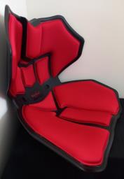 Backup Portable Lumbar Support image 1