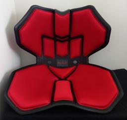 Backup Portable Lumbar Support image 2