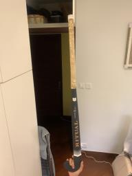 Hockey stick image 1