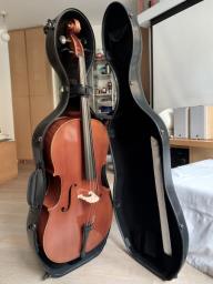34 Maestoso Cello  Black Master Case image 2