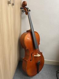 Fidelio 34 Handmade Cello with Case image 2