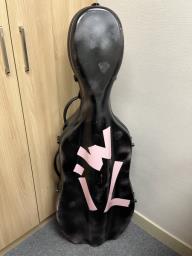 Fidelio 34 Handmade Cello with Case image 5