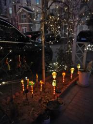 Solar-powered Christmas Light Stakes - C3 image 2