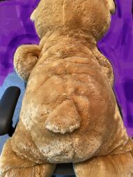 Big Teddy bear image 2