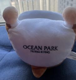 Dolphin mouse ocean park soft toy image 4