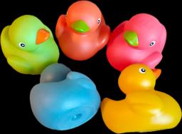 Rubber Duckies image 2