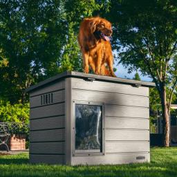 Lifetime 60328 Deluxe Dog House image 1