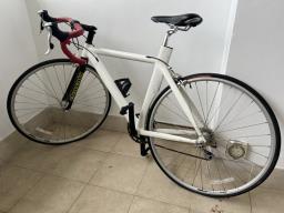 2 adult road bike image 1