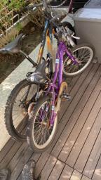 2 bikes for teenagers image 1
