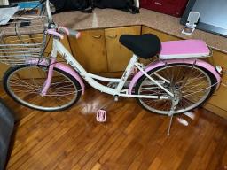 20  geared Bike in brand new condition image 1