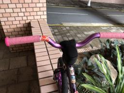 Customised Strider Balance Bike image 6