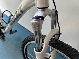 Giant Iguana Disc onoff-road bike image 3