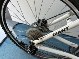 Giant Iguana Disc onoff-road bike image 4