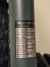 Giant Stp 20 Kids Bike image 4