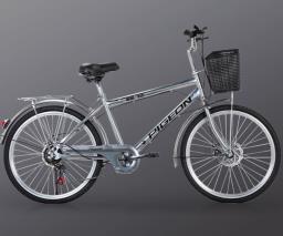 Pigeon City Silver Bike - 24 inches image 1