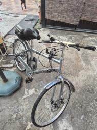 Pigeon City Silver Bike - 24 inches image 4