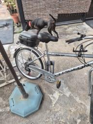 Pigeon City Silver Bike - 24 inches image 3