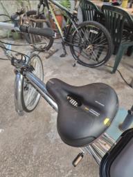 Pigeon City Silver Bike - 24 inches image 5