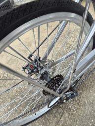 Pigeon City Silver Bike - 24 inches image 2