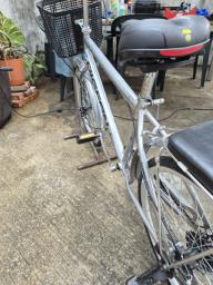 Pigeon City Silver Bike - 24 inches image 3