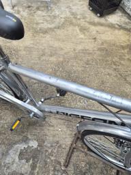 Pigeon City Silver Bike - 24 inches image 4