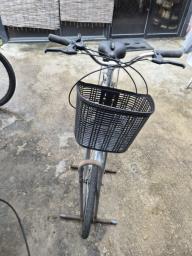 Pigeon City Silver Bike - 24 inches image 5