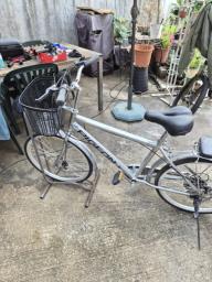 Pigeon City Silver Bike - 24 inches image 6