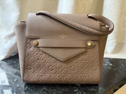 Louis Vuitton handbag image 1