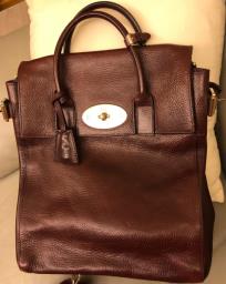 Mulberry image 1