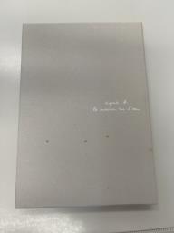 Agnes b pouch in patent image 4