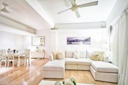 36 Elgin Street image 4