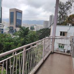 56 Pai Tau Village  Sha Tin image 3