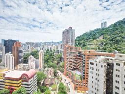 Bamboo Grove image 1