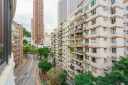 Bamboo Grove image 3